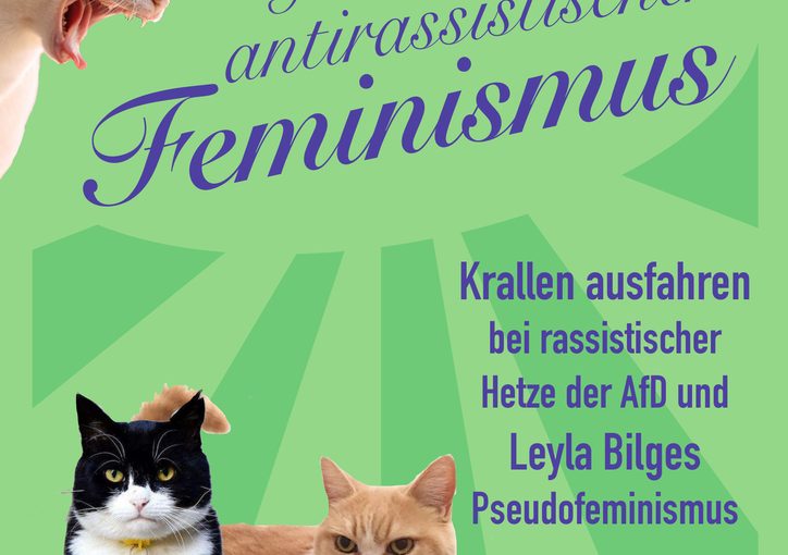 "Für einen antirassistischen Feminismus - Krallen ausfahren bei rassistischer Hetze der AfD und Leyla Bilges Pseudofeminismus" Demo 10.11 14 Uhr Greifswald