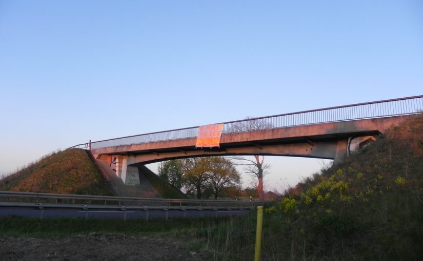 8. Mai Tag der Befreiung – Grund zum feiern!